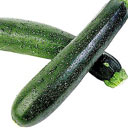 Cukkíni