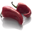 Paprika