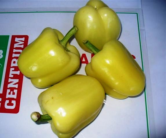 Paprika, TV-lédig
