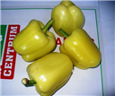 Paprika, TV-lédig