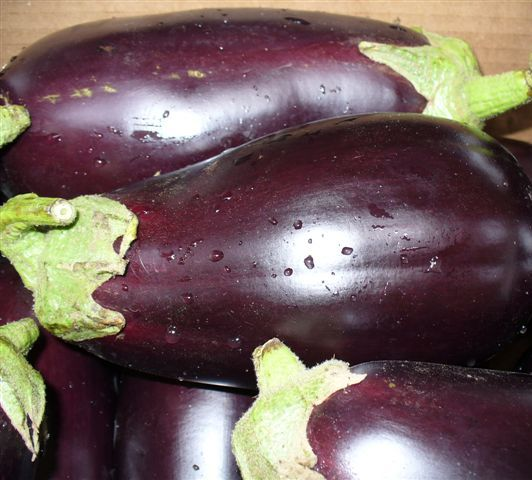 Padlizsán-20 kg