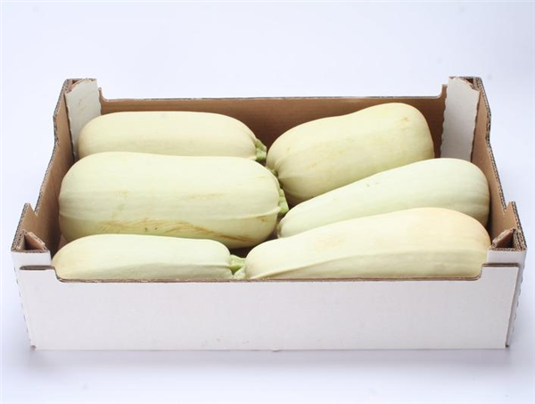 Főzőtök-20 kg