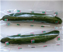 Kígyóuborka-8 kg
