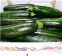 Cukkíni-5 kg
