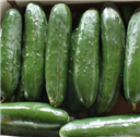 Fürtösuborka-8 kg
